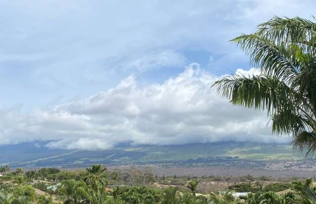 Tropical oasis - 16 Hoohale Street, Wailea, HI 96753