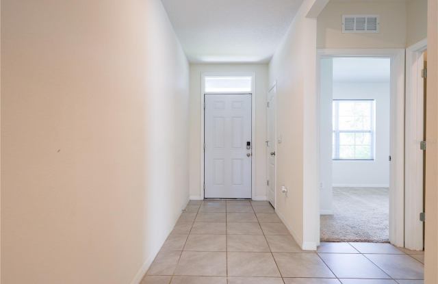 521 TALISI Loop Gallery 3