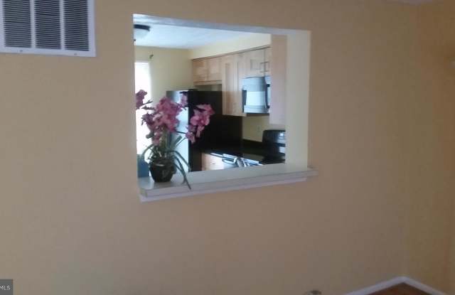 6723 QUIET HOURS Gallery 3