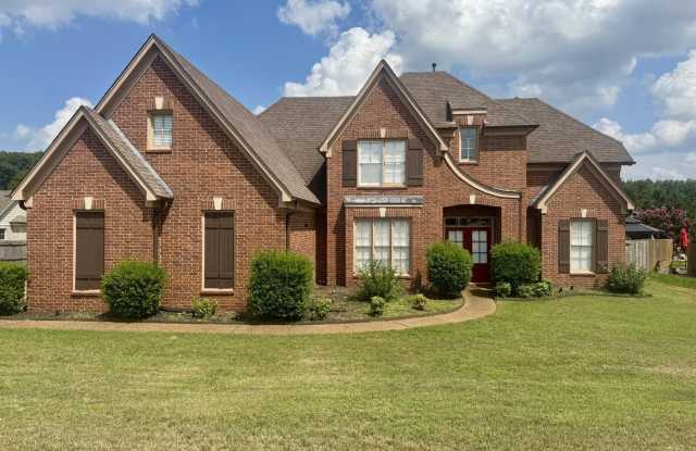5466 SCARLET FIELDS photos photos