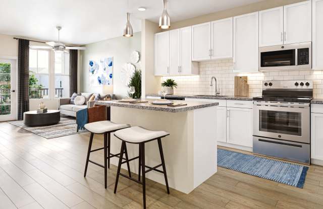 The Bradley St. Augustine photos photos