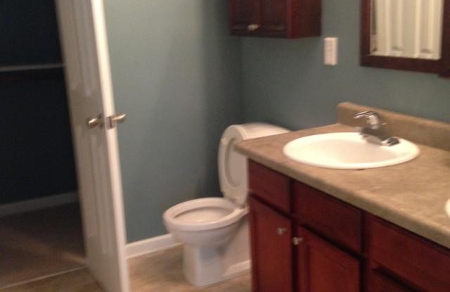 GREAT 3/2.5 OWNER'S ON MAIN! GREAT LOCATION, CLOSE TO EVERYTHING! - 104 Preserve Drive, Newnan, GA 30263