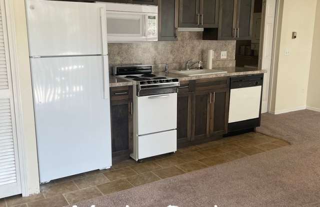 One Bedroom Garden Level Condo at Fall Creek Resort Gallery 4