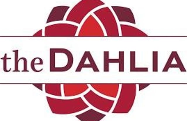 The Dahlia Gallery 4
