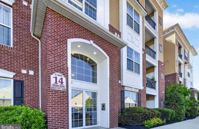 1447 SIERRA Gallery 2