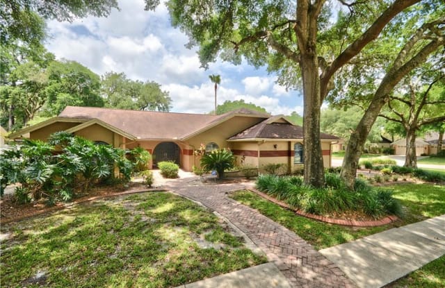 11504 TULLAMORE PLACE - 11504 Tullamore Place, Temple Terrace, FL 33617