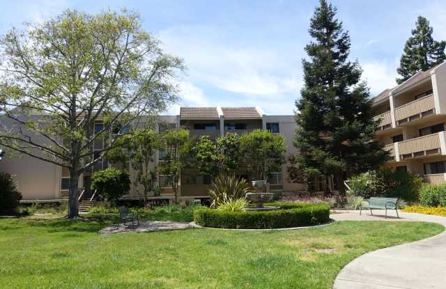 Great location near San Antonio Center shopping, convenient commute, Los Altos Schools photos photos