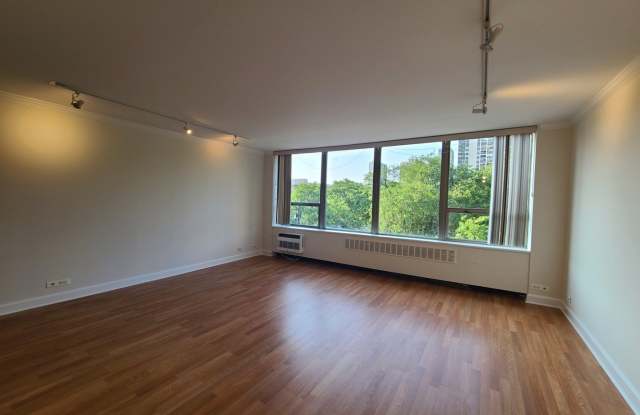 1360 N Sandburg Terrace Gallery 3