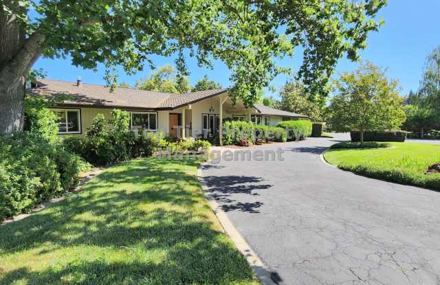 Spectacular 4 Bd/3 Ba, 2379 sf (plus separate structure ideal for office), single-family house in West Alamo on 0.63 acre lot available October 16th for Lease! photos photos