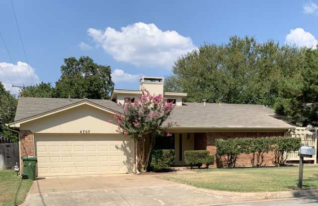 4707 Burning Springs Drive - 4707 Burning Springs Court, Arlington, TX 76017