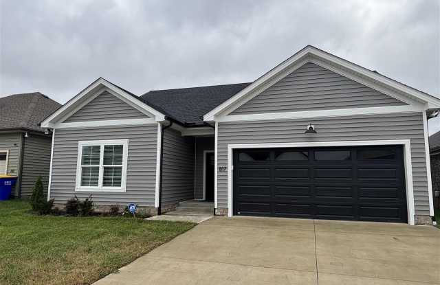 817 McIntyre Street - 817 McIntyre Street, Warren County, KY 42101