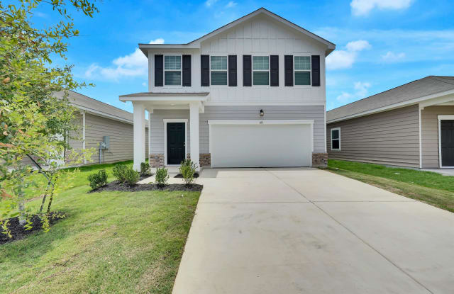 413 Redfish Lane - 413 Redfish Lane, Williamson County, TX 78634