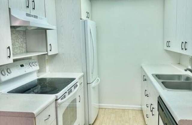 3063 Ainslie D Gallery 2