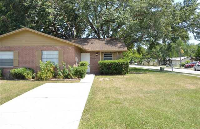 5120 LETITIA COURT - 5120 Letitia Court, Carrollwood, FL 33624