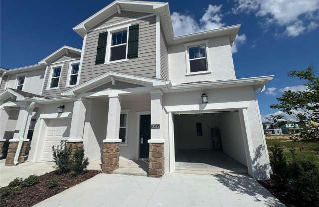 3055 MINDFULLNESS DRIVE - 3055 Mindfullness Drive, Lake County, FL 34787