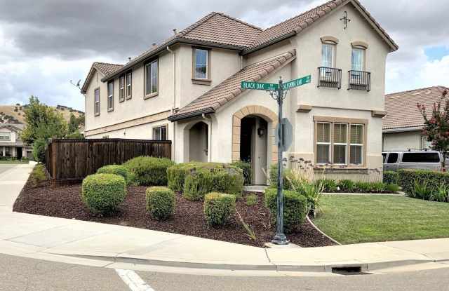 20867 Black Oak Dr. - 20867 Black Oak Drive, Diablo Grande, CA 95363
