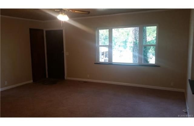 Vibrant 3 bedroom 1 bathroom Gallery 3