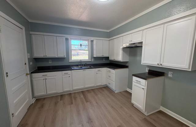 Beautiful 3 bedroom/1 bath home with Central Air and Heat! Gallery 4