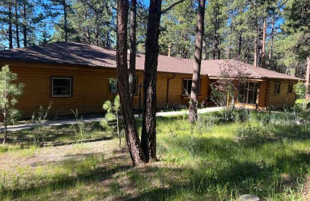 NEWLY REMODELED FARMHOUSE STYLE HOME ON THE 13TH HOLE OF THE WOODMOOR GOLF COURSE!!!! - 615 Congressional Drive, Woodmoor, CO 80132