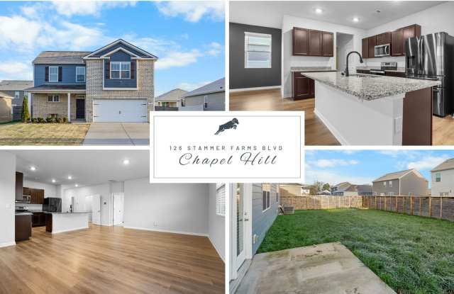 126 Stammer Farms Blvd, Chapel Hill, TN 37034 photos photos