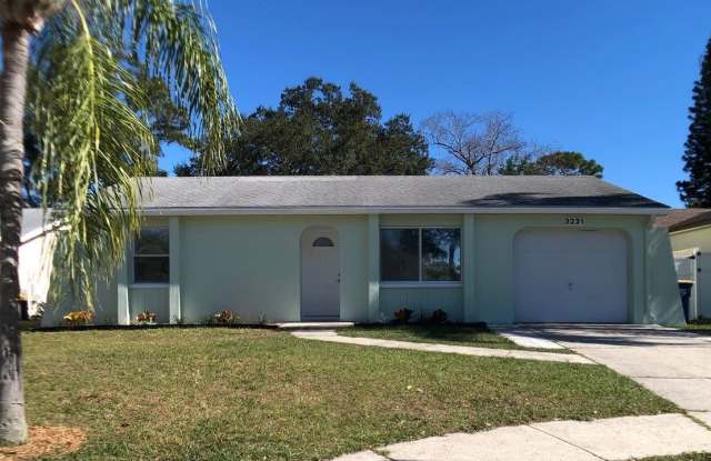 3231 Marigold Dr - 3231 Marigold Drive, Clearwater, FL 33761