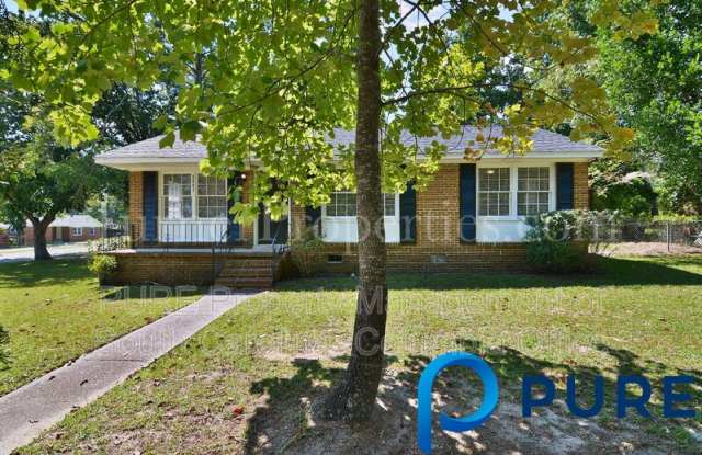 3801 Trotter Road - 3801 Trotter Road, Richland County, SC 29209