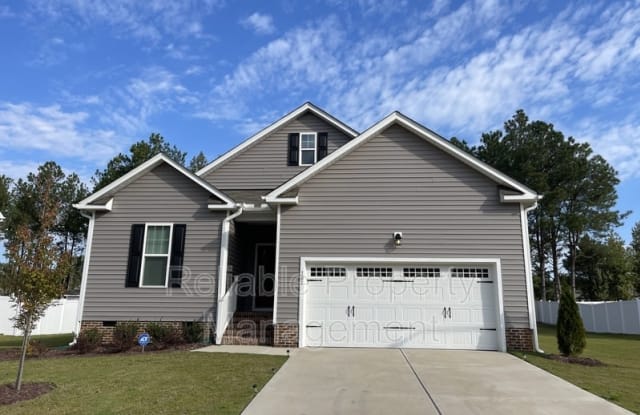 101 Brody Pine Way - 101 Brody Pine Way, Johnston County, NC 27529