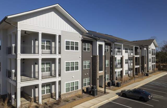 Waterleaf at Cold Springs Gallery 2