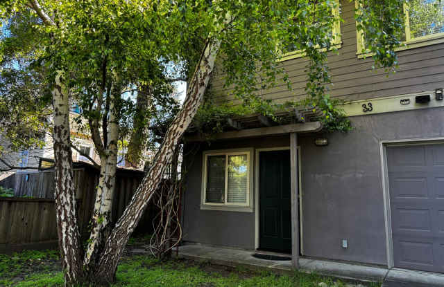 Charming Setting in Heart of Santa Cruz photos photos