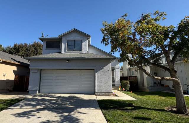 Beautifully Updated 3 Bed 2 Bath House in Brentwood - 720 Winding Creek Terrace, Brentwood, CA 94513