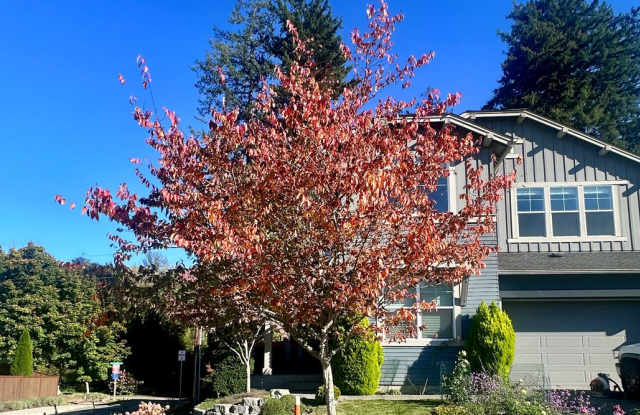Mountain Aire Home in Poulsbo Gallery 4