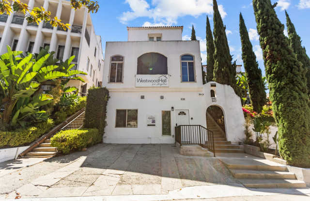 838 Hilgard - Entire Apartment Gallery 2