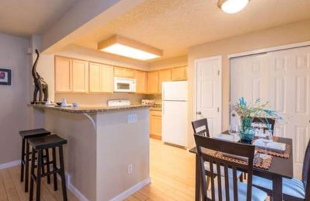 4827 White Rock Cir Gallery 4