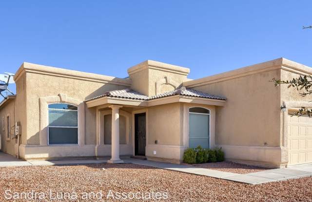 14283 Desert Bush Gallery 2