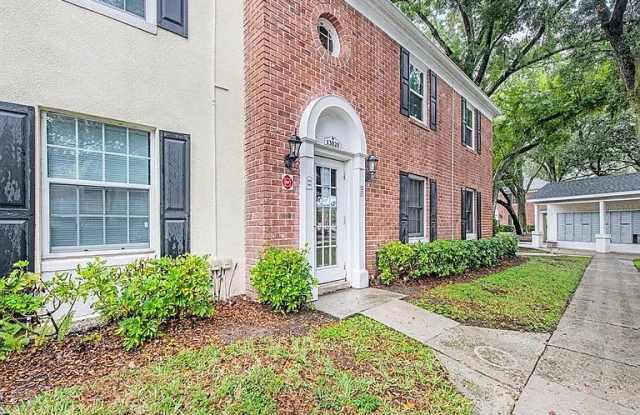 13828 Orange Sunset Dr - 13828 Orange Sunset Drive, Lake Magdalene, FL 33618