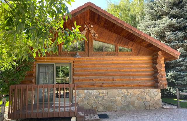 ONE ROOM | 1 BATH | LOG COUNTRY COTTAGE IN THE HILLS - 23037 Thunderhead Falls Road, Pennington County, SD 57702