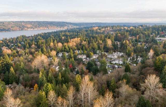 Trails of Redmond Gallery 3