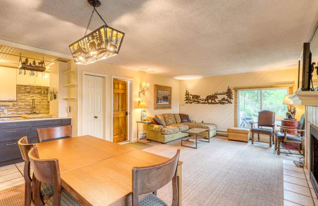 1063 Vail View Drive - 1Unit 1Lions Mane Phase 2 Gallery 2