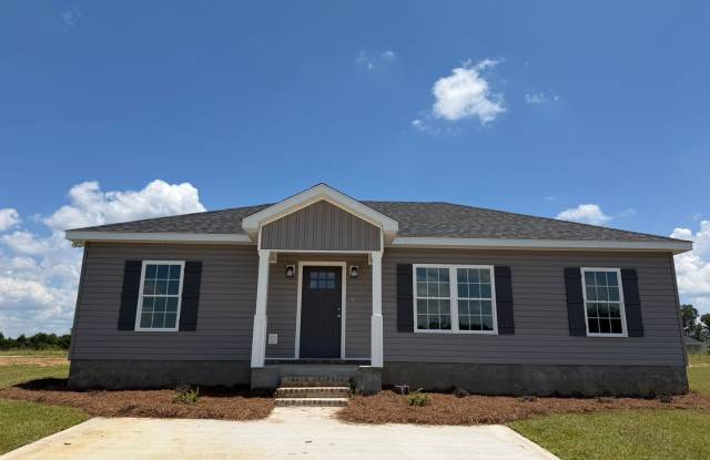 513 Nickies Way - NEW CONSTRUCTION! photos photos