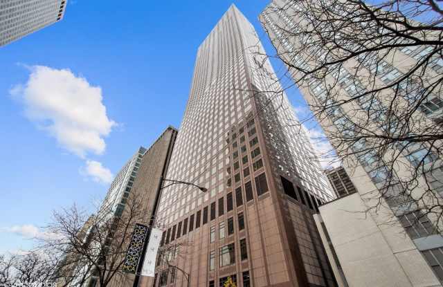 161 E Chicago Avenue unit: 31E photos photos