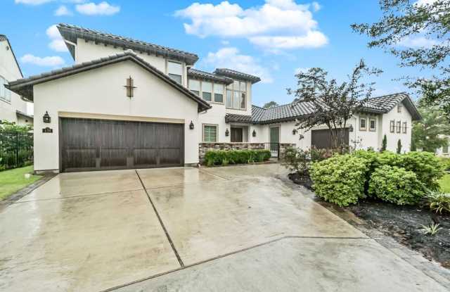 139 Gildwood Place - 139 Gildwood Place, The Woodlands, TX 77375
