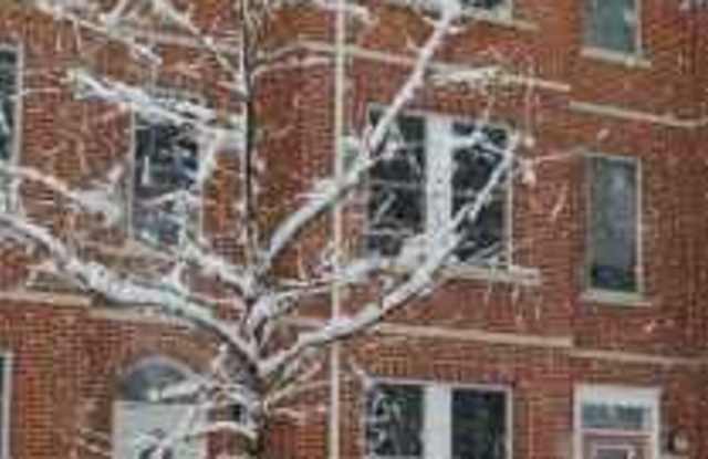 1362 MONROE ST NW #A - 1362 Monroe Street Northwest, Washington, DC 20010