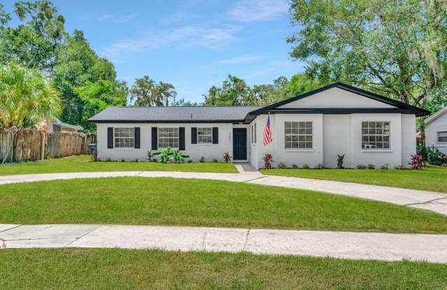 Remodeled Pool Home in the Heart of Brandon, FL photos photos