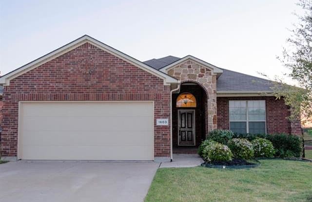 1603 Secretariat Lane - 1603 Secretariat Ln, Irving, TX 75060