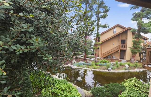 25 Tangelo photos photos 25 Tangelo photos photos