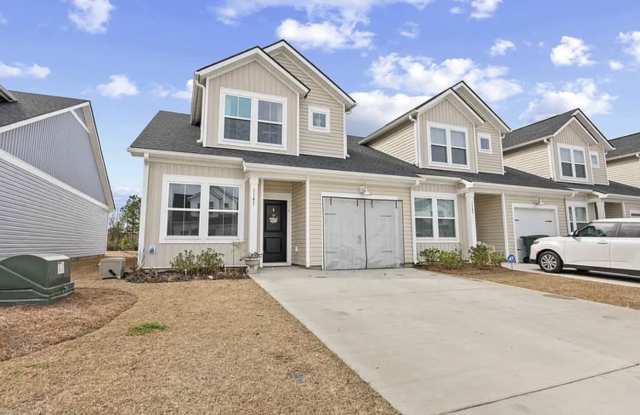 1141 Blueback Herring Way photos photos