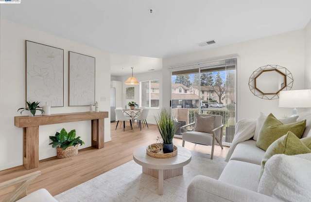 337 Chris Cmn APT 111 photos photos 337 Chris Cmn APT 111 photos photos