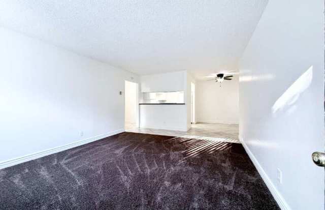 11057 Ferina Street Gallery 3