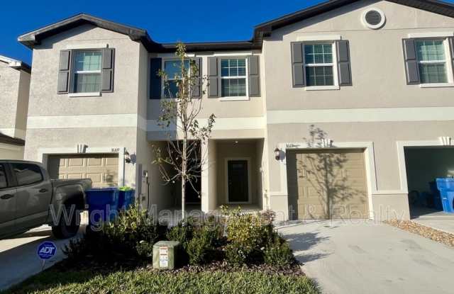 36113 Risa Michele Street - 36113 Risa Michele Street, Pasco County, FL 33541