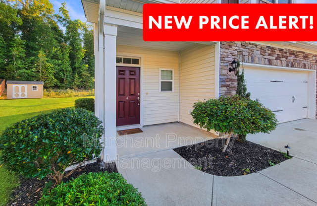 4 Wisner Court - 4 Wisner Court, Greenville County, SC 29681